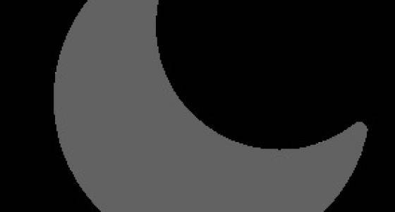 REALPROBEx