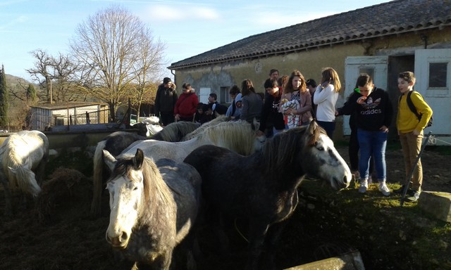 Découvertes de trajectoires de vie peu communes pour les élèves du lycée agricole de Mirande